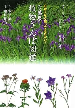 和漢古典植物名精解/和泉書院/木下武司（単行本） Amazon.co.jp: 和漢古典植物名精解 : 木下武司: 本
